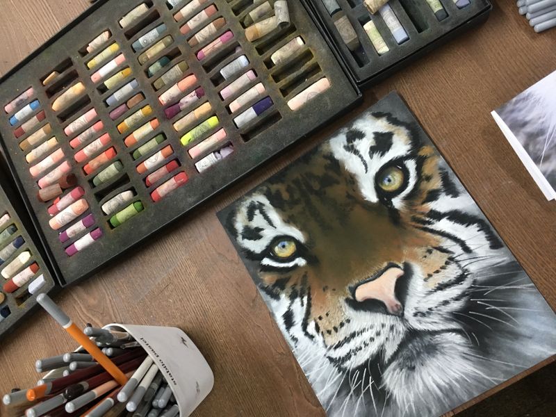 Wildlife pastel painting workshop