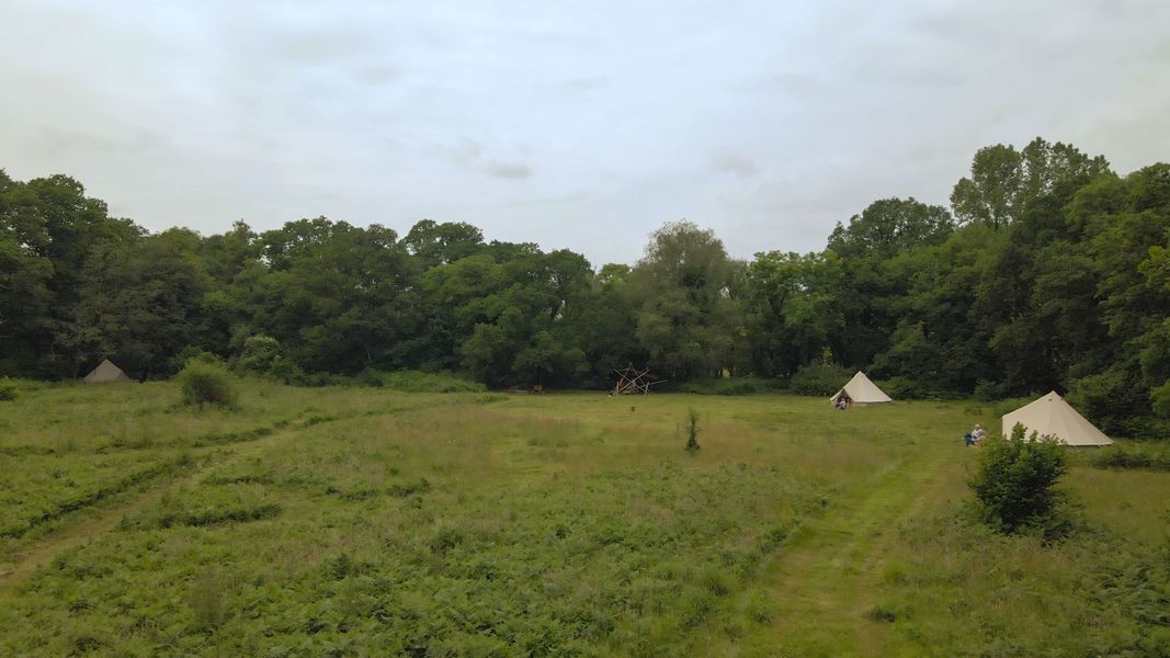 3 acre wild flower meadow for wild camping