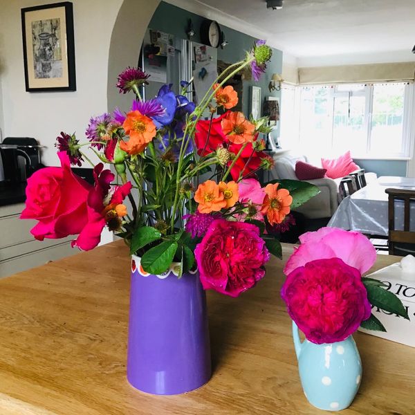 Colourful blooms from the farmhouse garden
