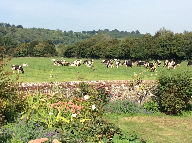 Views over the farmland.