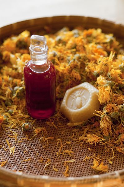 Introduction to herbal medicine - weekend courses