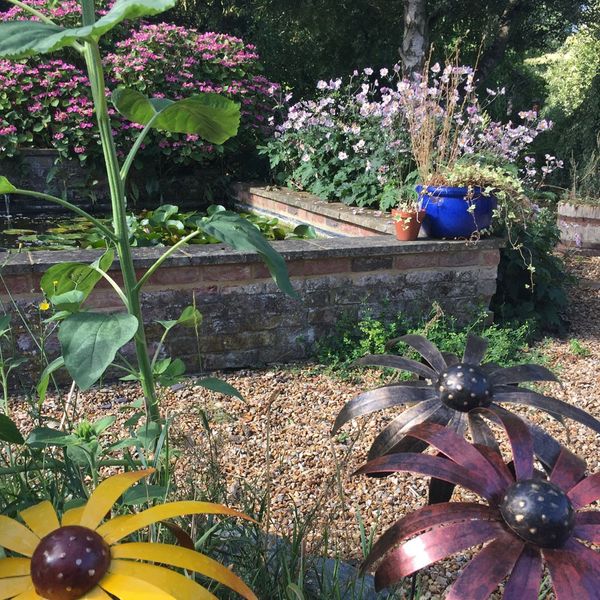 Perhaps take lunch by the pond?