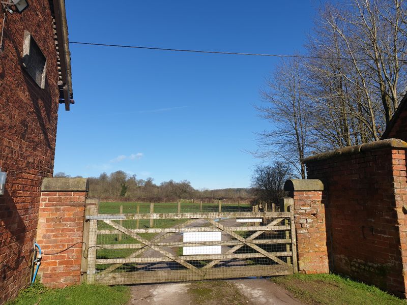 Looking out of the farm gate at Foxes' Retreat