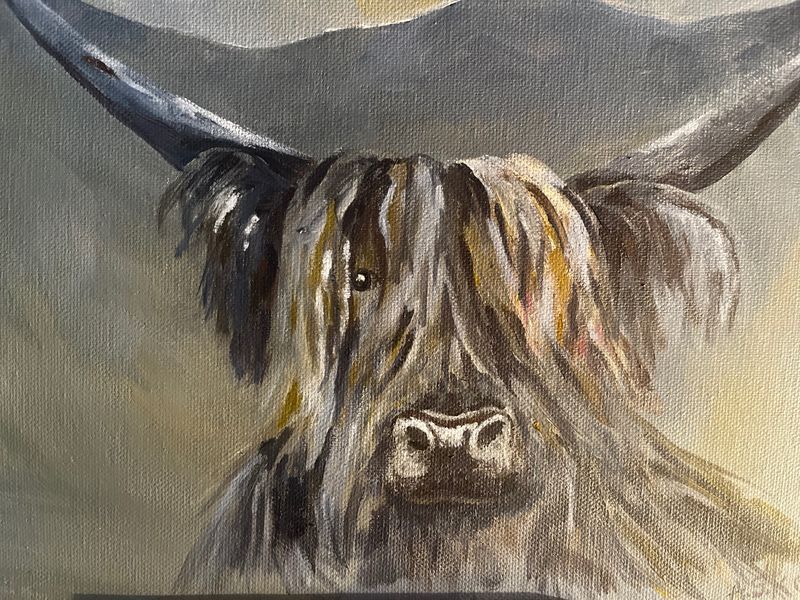 Highland cow in acrylic