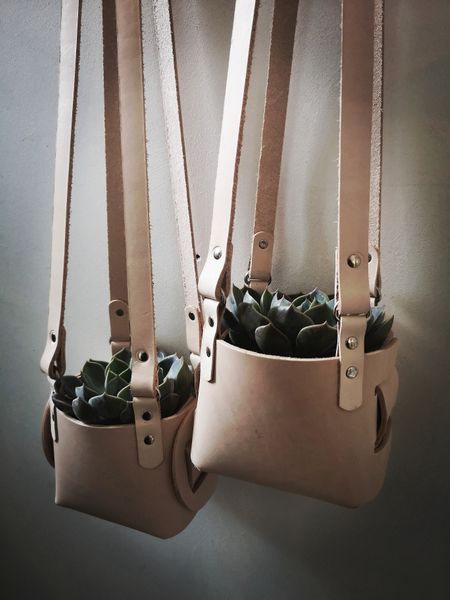 Leather plant hanger with succulents
