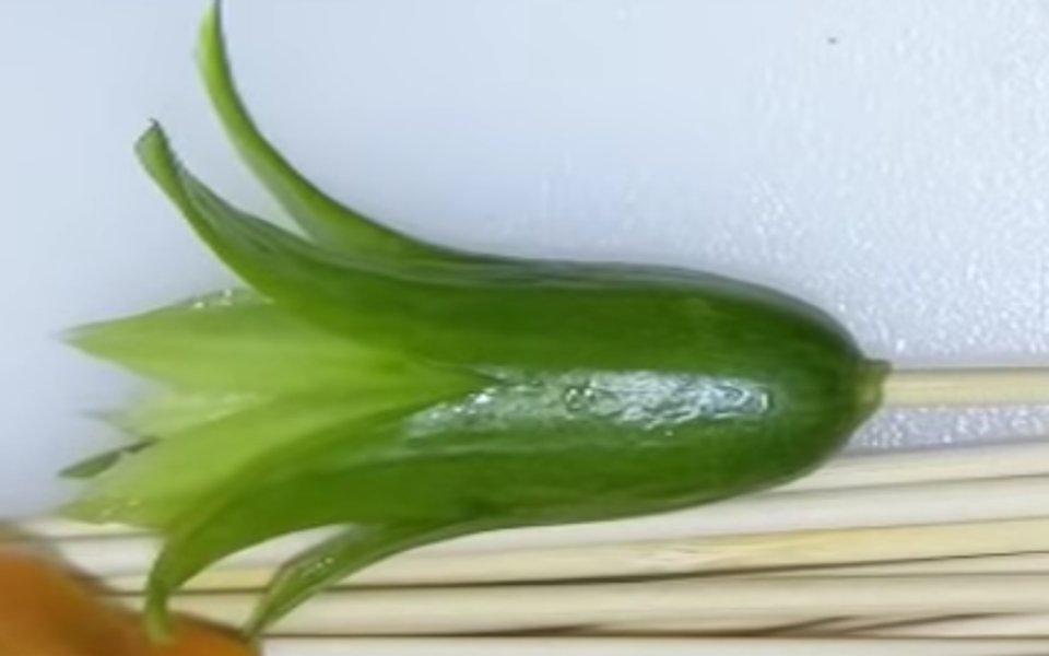 cucumber flower