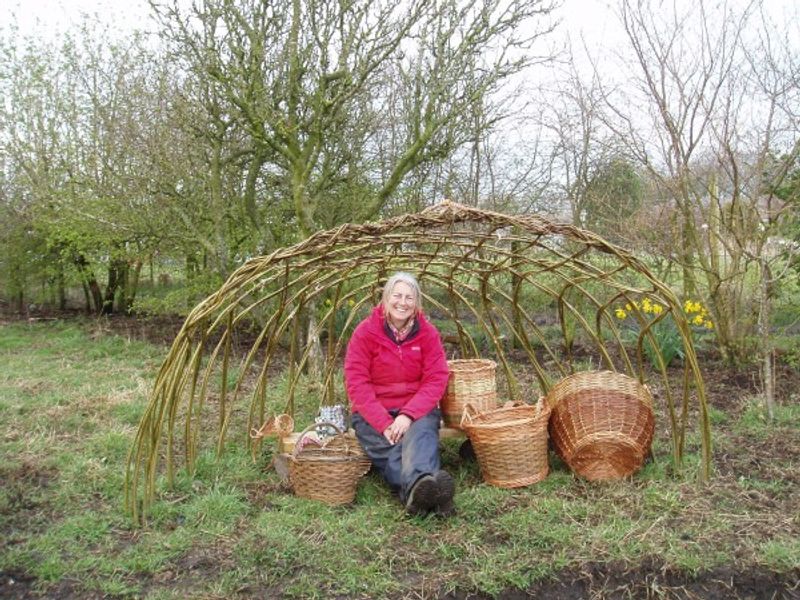 Living willow arbour and selection of round and oval baskets
