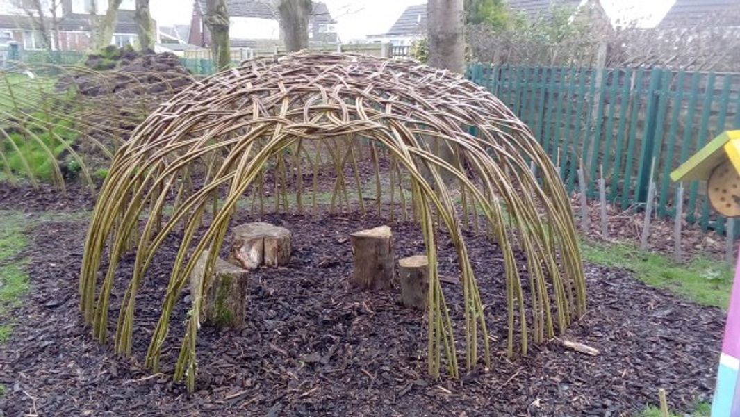 Living willow dome for Prospects Foundation