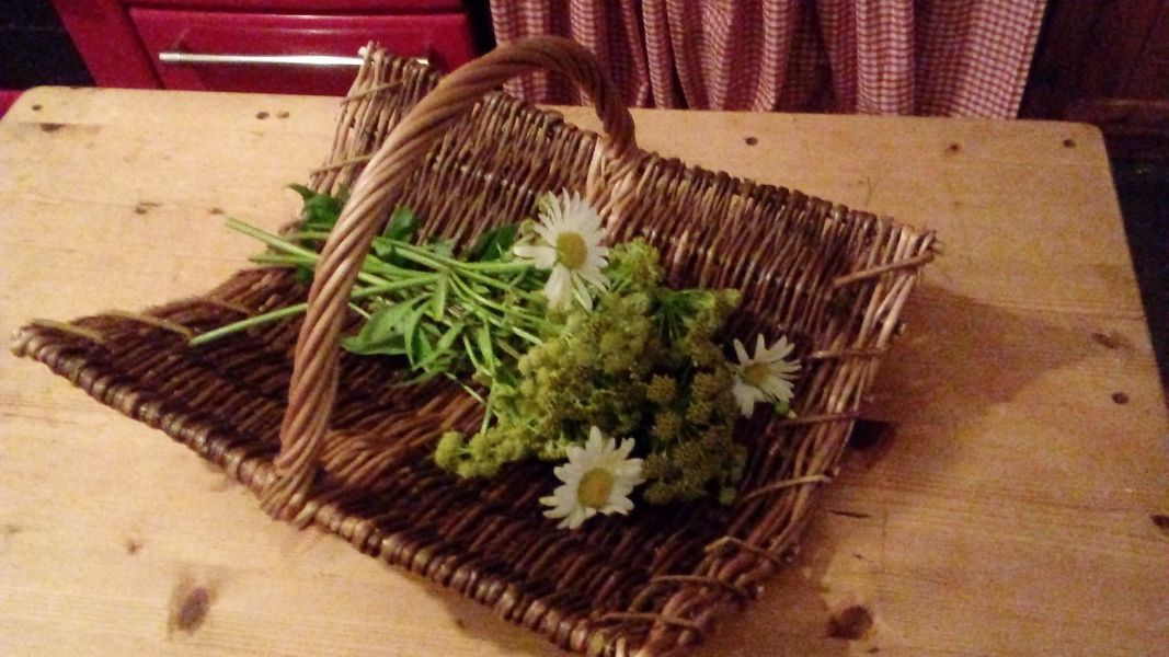 Willow flower trug