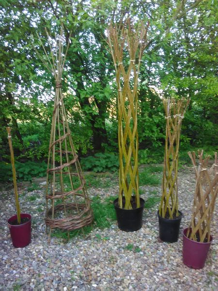 Potted living willow woven "trees" and obelisk
