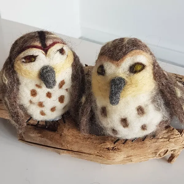 Two wise owls.