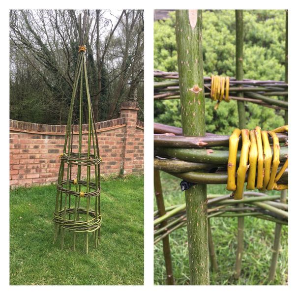 Willow obelisk - up to 7ft in height!
