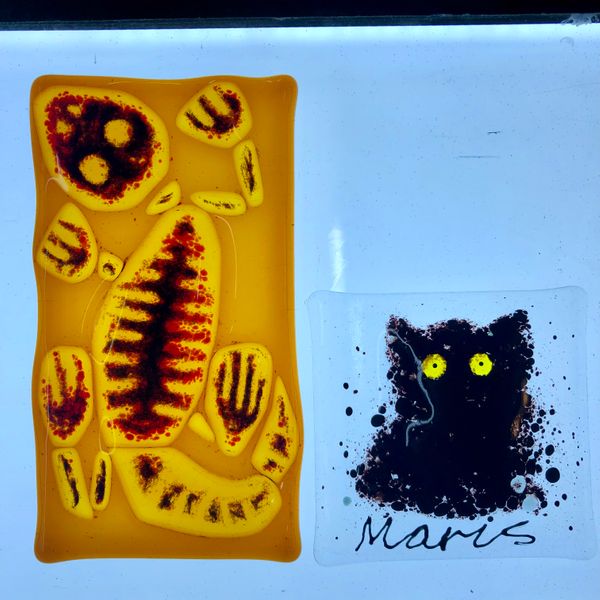 Scaredy cat creations from our fused glass day course for beginners. Ah! 