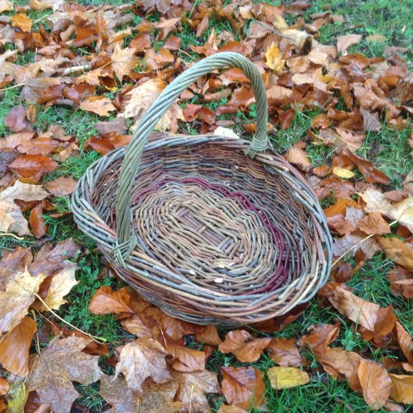 A willow trug with natural willows