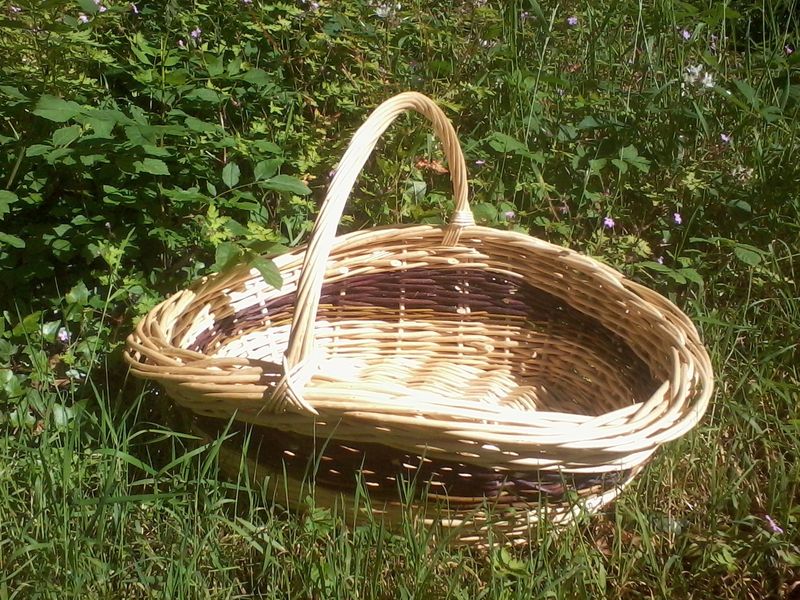 trug in the sunshine