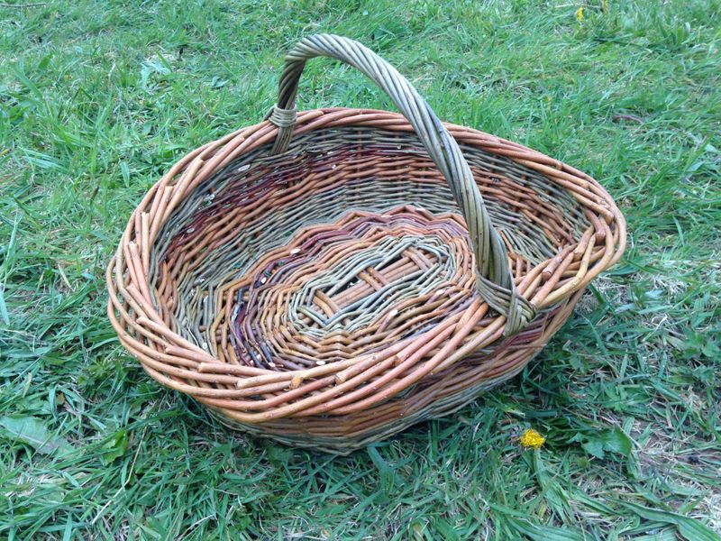 Willow trug with willows harvested from my patch