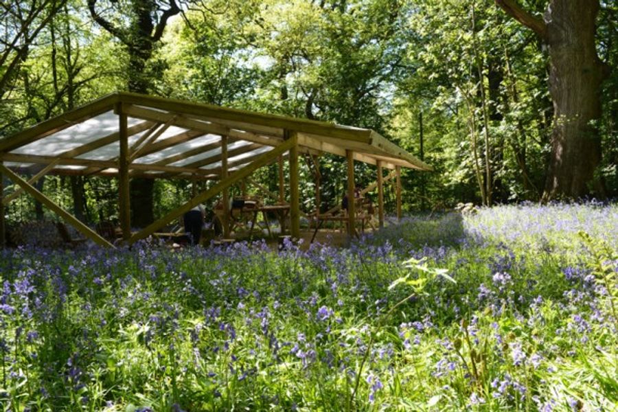 The woodland workshop at Redwood Valley Yurts