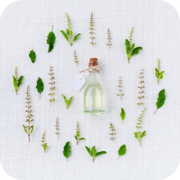 Natural Perfume Course