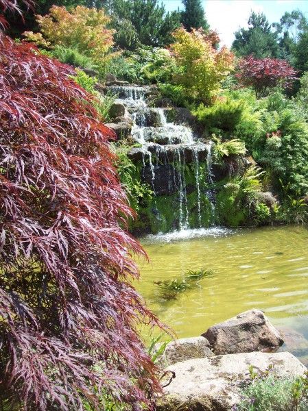 waterfall at Mount Pleasant Gardens