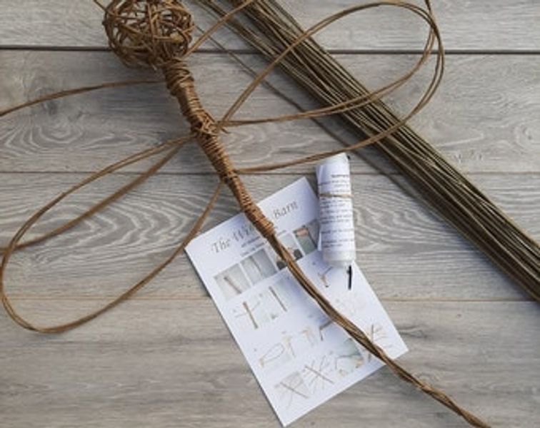 Willow dragonfly craft kit