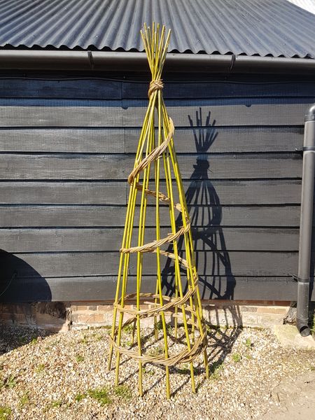 Willow plant support