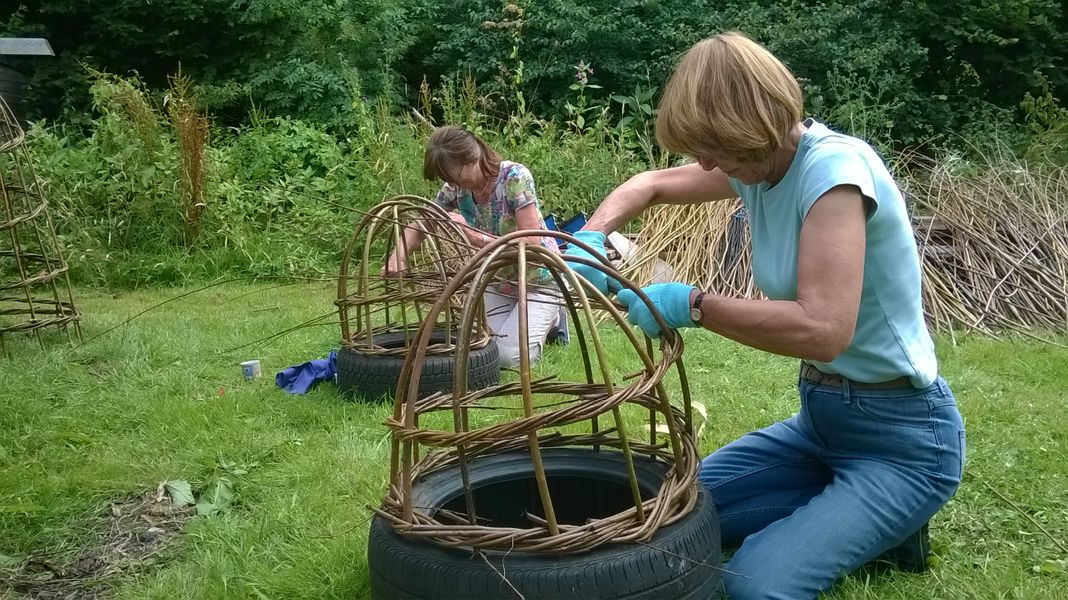 Willow herbaceous dome course