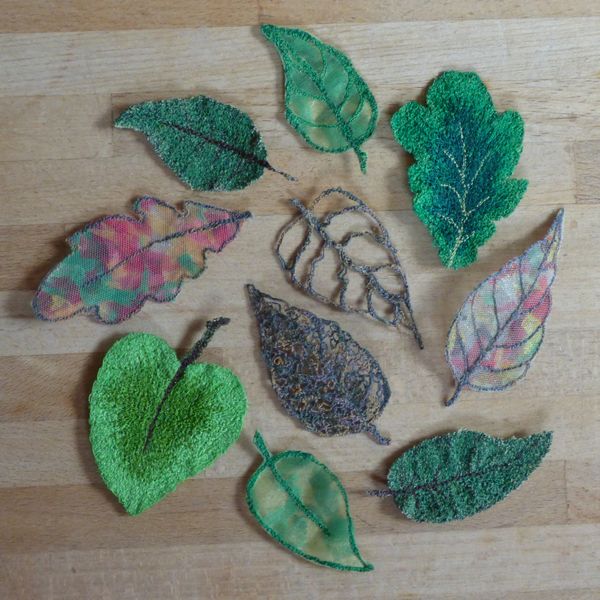 Selection of Leaves