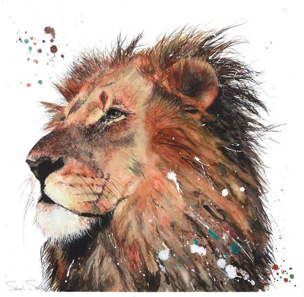 Watercolour lion