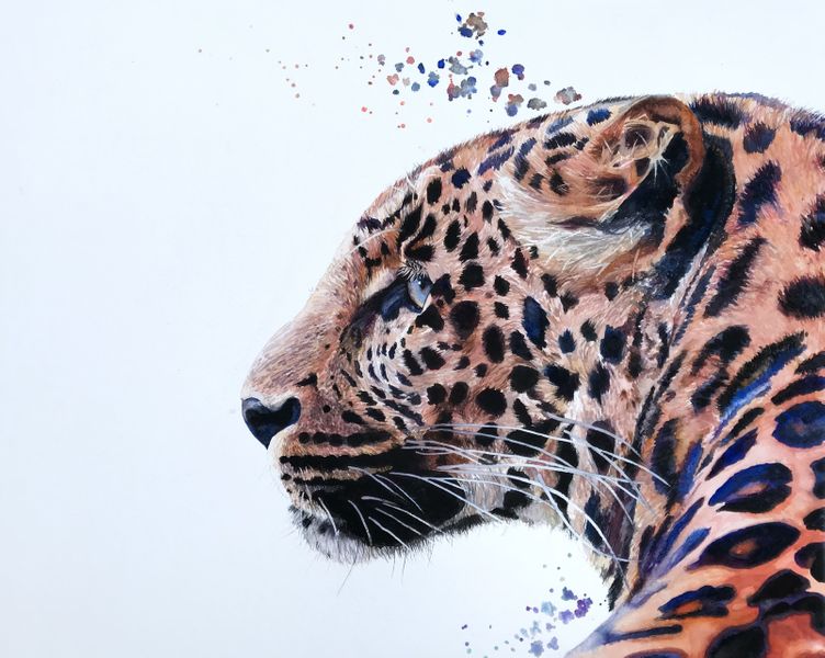 Watercolour leopard