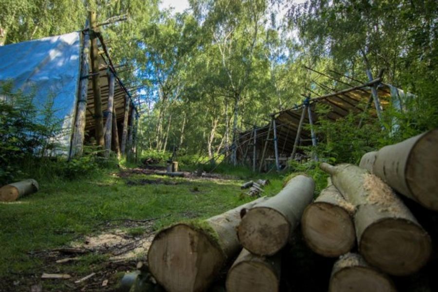 Greenwood Days course centre ready for the next course with a lovely pile of Ash ready and waiting!