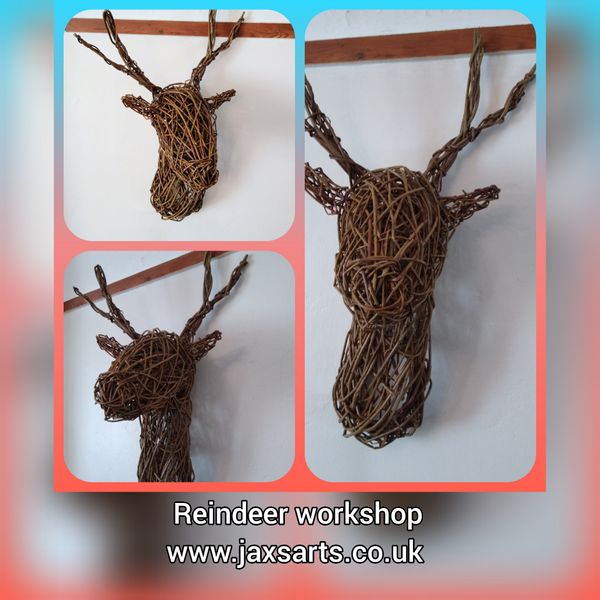 Willow reindeer/ stag head  images