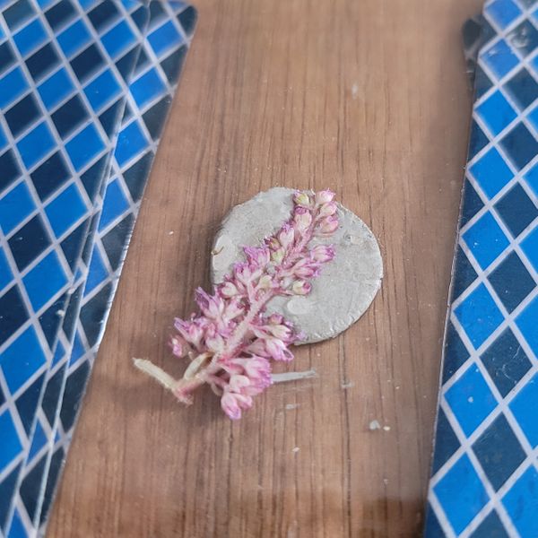 Flower pressed into silver clay pendant.