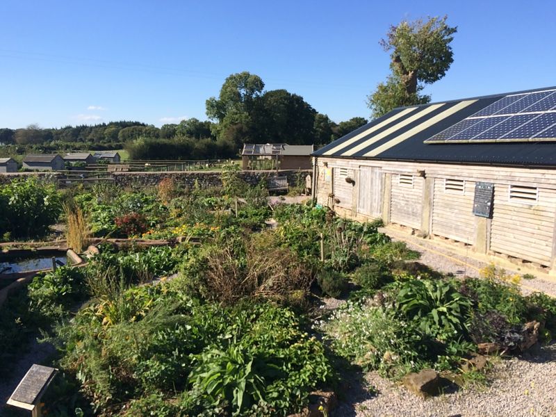 The Edible Garden at Humble by Nature