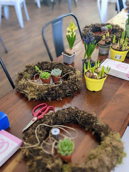 mossed up wreaths and spring bulbs