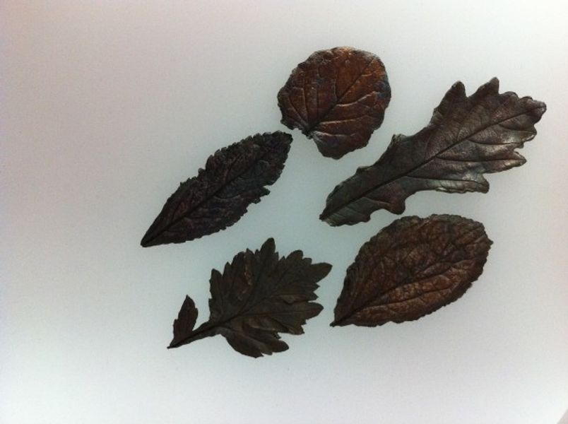Selection of leaves at the LR silver jewellery course