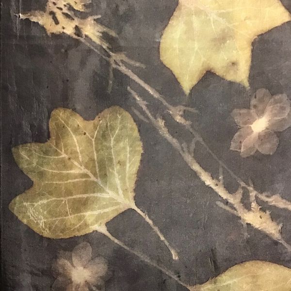 Silk habotai scarf printed with tulip tree leaves, dyed with strong pomegranate dye [tannin] and iron