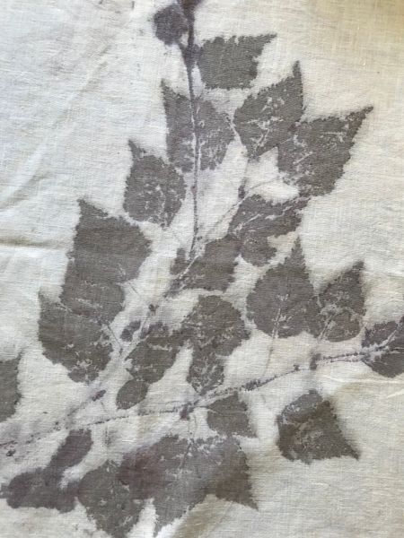 Silver birch printed on linen with iron