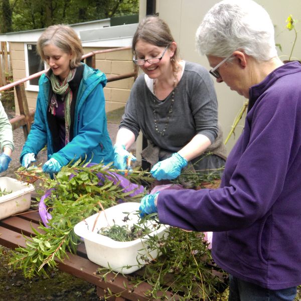 Cutting up plants