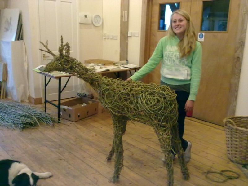 willow deer woven with a group at Carymoor environmental centre, Somerset.