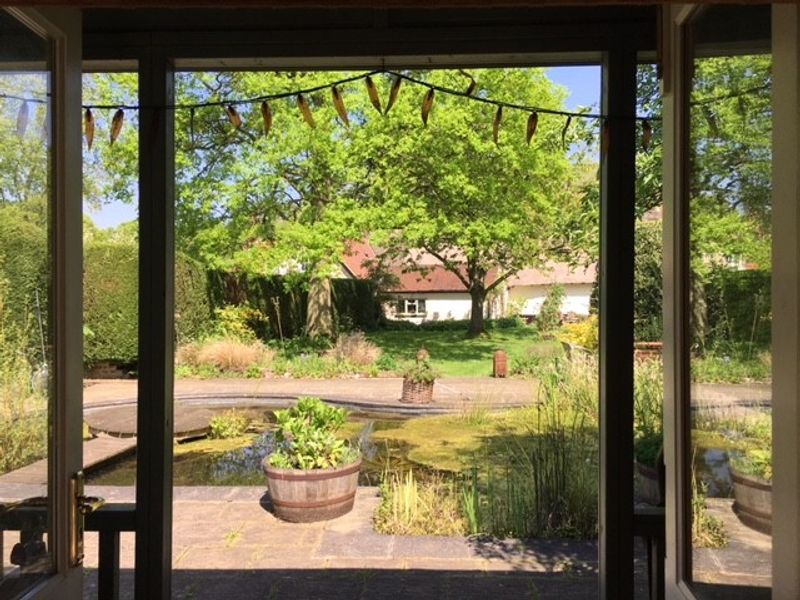 The pond and the garden from the studio porch