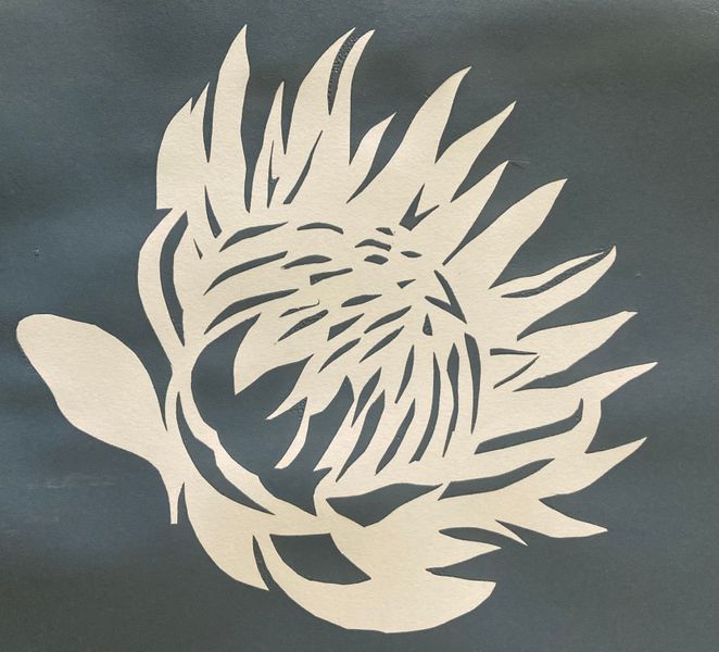 Simple and elegant protea flower created from a carefully cut paper stencil 