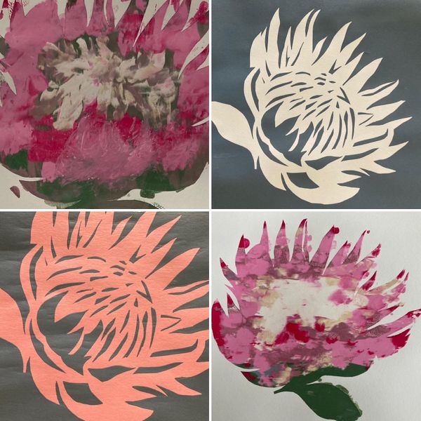 Collection of proteas