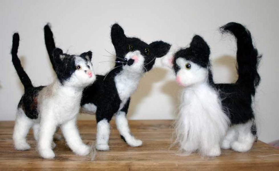3 cats made by students