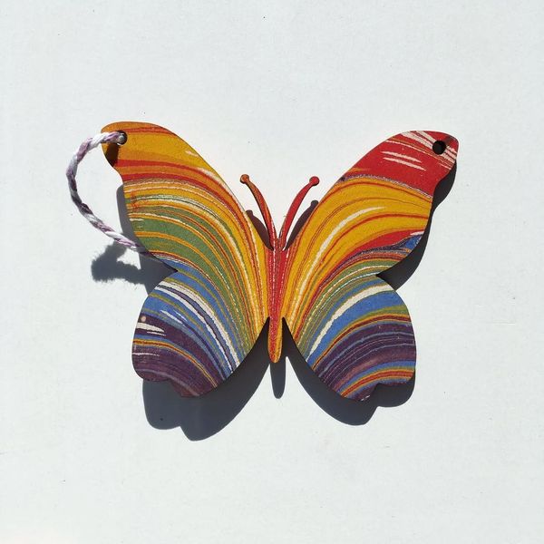 Marbled wooden rainbow butterfly James Mouland