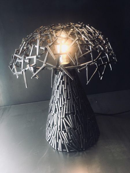 Kurt and his partner did a two day course. he went off and bought a welder and a week later made this fabulous lamp.