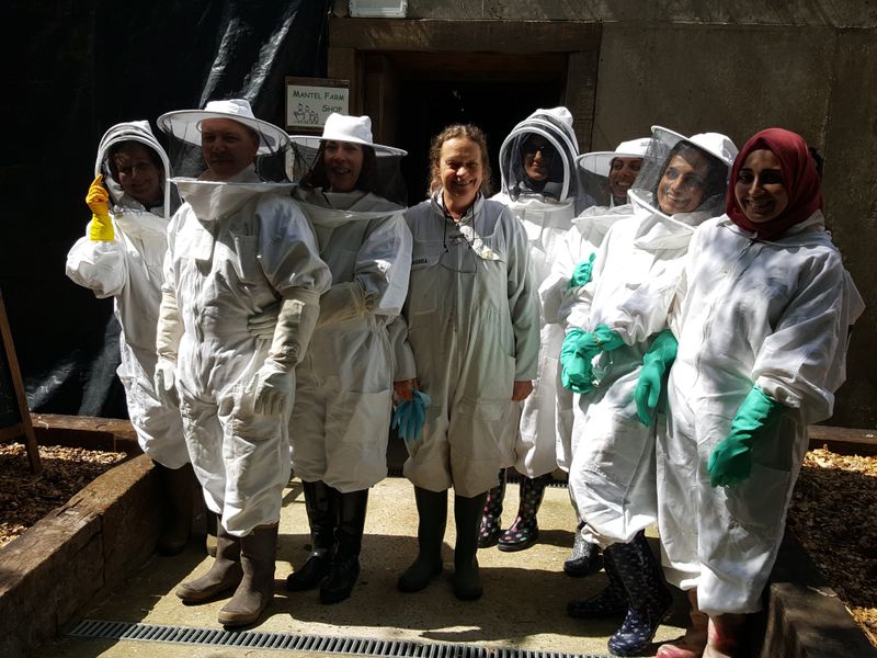 All suited up for a hive inspection