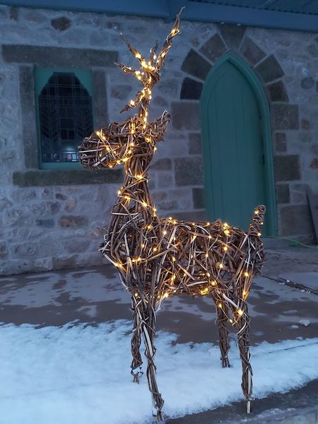 Willow Reindeer - illuminated