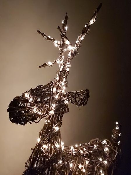 Christmas willow reindeer 