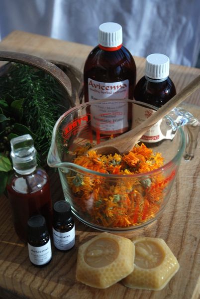 The Natural Health Chest: Assemble your own herbal medicine chest for health and wellbeing course