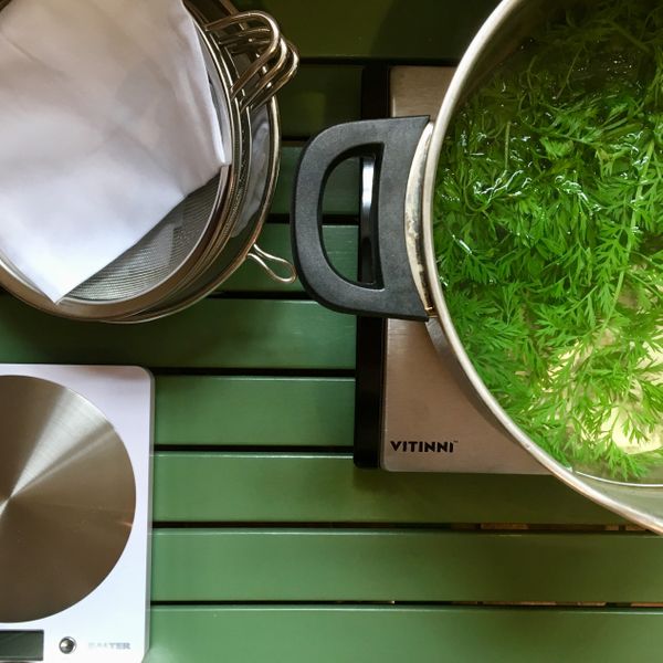 Simmering carrot tops